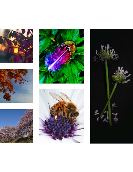 FIGGI MAGAZINE - NATURE & TRAVEL JANUARY (Vol 1959), page 2