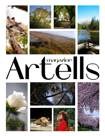 ARTELLS MAGAZINE - NATURE & TRAVELS JULY (Vol 4177), page 2