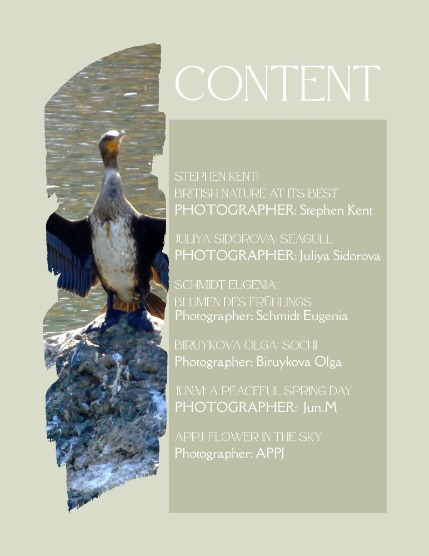 Bold & Beyond Nature (Issue 269 May 2025), page 2