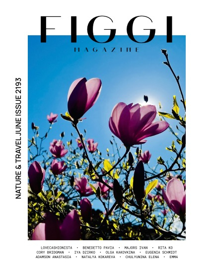 FIGGI MAGAZINE - NATURE & TRAVEL JUNE (Vol 2193), page 1