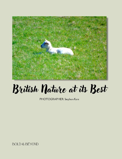 Bold & Beyond Nature (Issue 269 May 2025), page 4