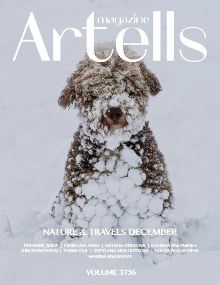 ARTELLS MAGAZINE - NATURE & TRAVELS DECEMBER (Vol 3756), page 1