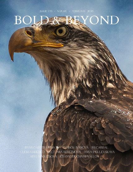 Bold & Beyond Nature (Issue 733 February 2026), page 1