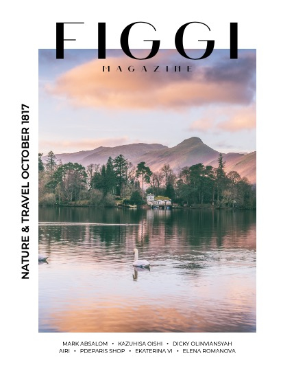 FIGGI MAGAZINE - NATURE & TRAVEL OCTOBER (Vol 1817), page 1
