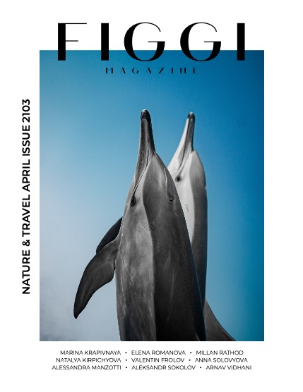 FIGGI MAGAZINE - NATURE & TRAVEL APRIL (Vol 2103), page 1