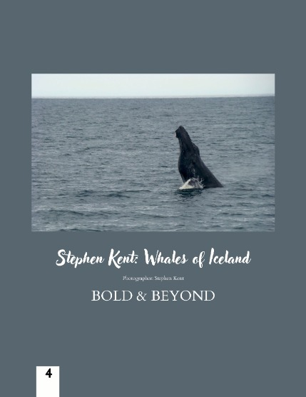 Bold & Beyond Nature (Issue 529 September 2025), page 4