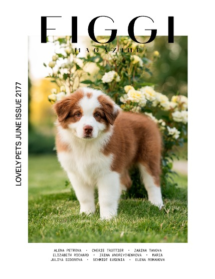 FIGGI MAGAZINE - LOVELY PETS AUGUST (Vol 2177), page 1