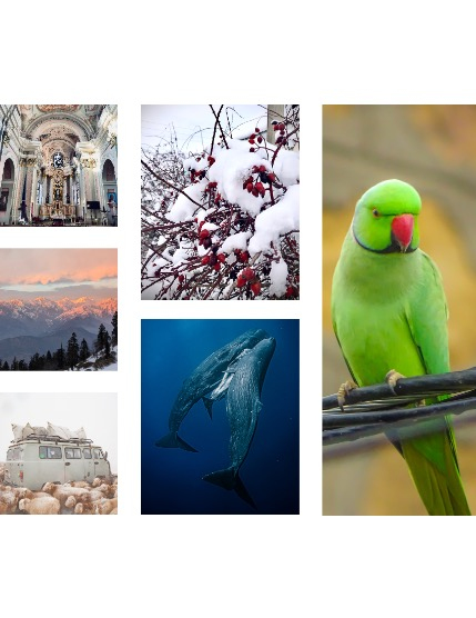 FIGGI MAGAZINE - NATURE & TRAVEL APRIL (Vol 2103), page 2