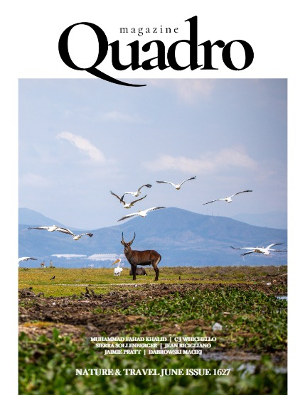 QUADRO MAGAZINE - NATURE & TRAVEL JUNE (Vol 1627), page 1