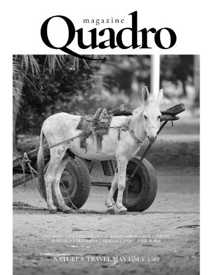 QUADRO MAGAZINE - NATURE & TRAVEL MAY (Vol 1589), page 1