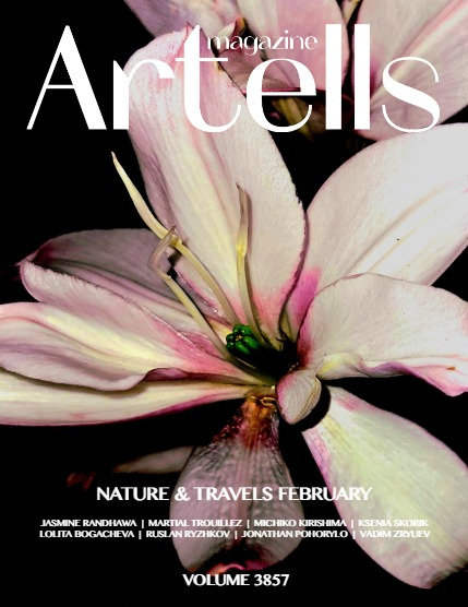 ARTELLS MAGAZINE - NATURE & TRAVELS FEBRUARY (Vol 3857), page 1