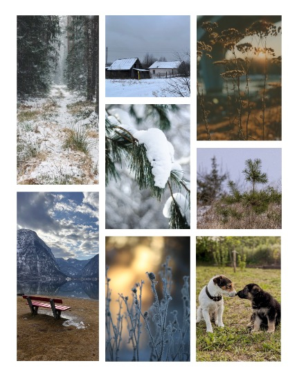 ARTEGO MAGAZINE - NATURE & TRAVELS MARCH ISSUE 745, page 3