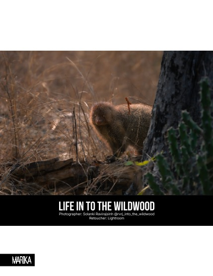 MARIKA MAGAZINE NATURE & TRAVELS (ISSUE 6167 - FEBRUARY), page 4