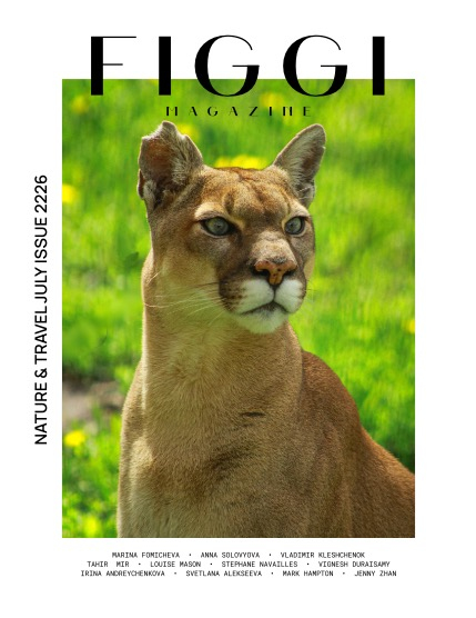 FIGGI MAGAZINE - NATURE & TRAVEL JULY (Vol 2226), page 1