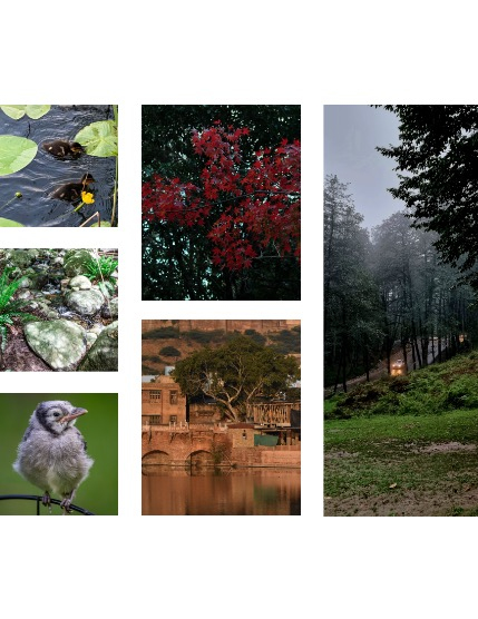 FIGGI MAGAZINE - NATURE & TRAVEL JULY (Vol 1678), page 2