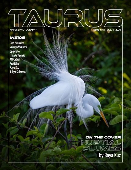 Таурус, журнал. Природа, выпуск 161 (Nature #161), page 1