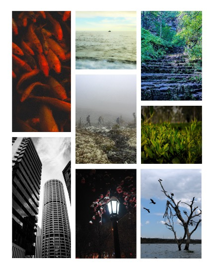 ARTEGO MAGAZINE - NATURE & TRAVELS MARCH ISSUE 743, page 3