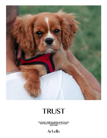 ARTELLS MAGAZINE - NATURE & TRAVELS JANUARY (Vol 3806), page 4