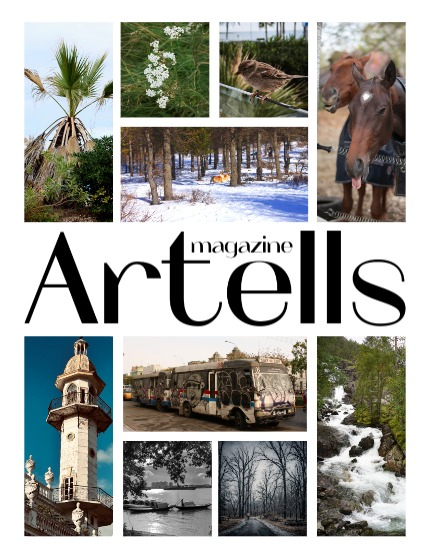ARTELLS MAGAZINE - NATURE & TRAVELS MARCH (Vol 3916), page 2