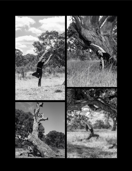 UNTAMED BEAUTY (Vol. 282 May 2026), page 3