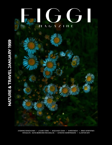 FIGGI MAGAZINE - NATURE & TRAVEL JANUARY (Vol 1959), page 1