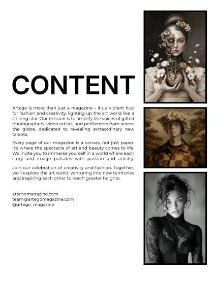 ARTEGO MAGAZINE - FINE-ART & AI FEBRUARY ISSUE 1214, page 2