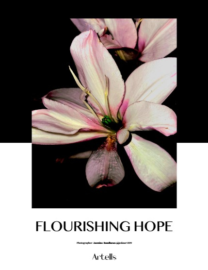 ARTELLS MAGAZINE - NATURE & TRAVELS FEBRUARY (Vol 3857), page 4