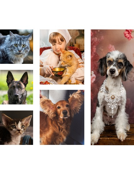 FIGGI MAGAZINE - LOVELY PETS MARCH (Vol 2040), page 2