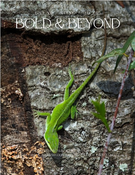 Bold & Beyond Nature (Issue 308 May 2025), page 1