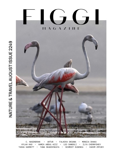 FIGGI MAGAZINE - NATURE & TRAVEL AUGUST (Vol 2249), page 1