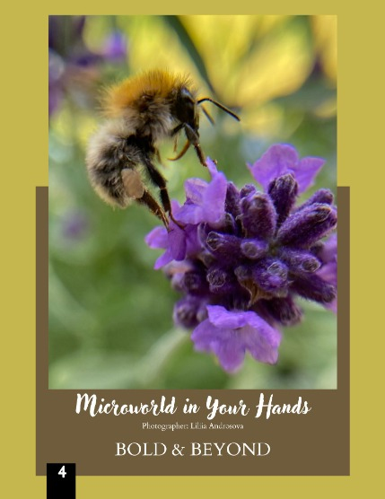 Bold & Beyond Nature (Issue 443 August 2025), page 4