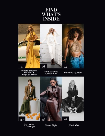 Luxia Mag 671, page 3