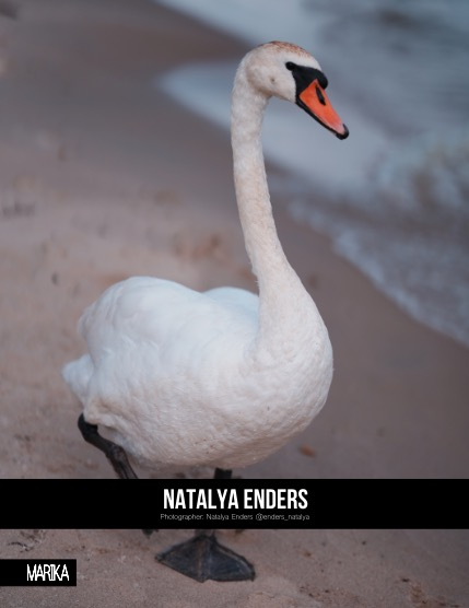 MARIKA MAGAZINE NATURE & TRAVELS (ISSUE 5625 - APRIL), page 4