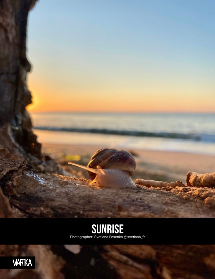 MARIKA MAGAZINE NATURE & TRAVELS (ISSUE 6118 - JANUARY), page 4