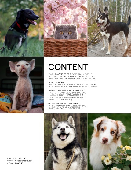 FIGGI MAGAZINE - LOVELY PETS AUGUST (Vol 2177), page 2