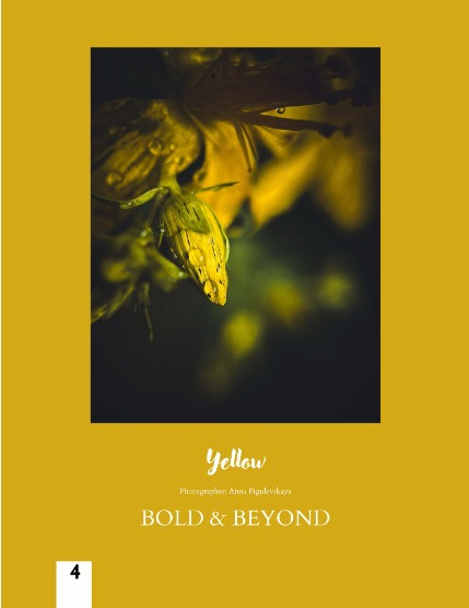 Bold & Beyond Nature (Issue 459 August 2025), page 4