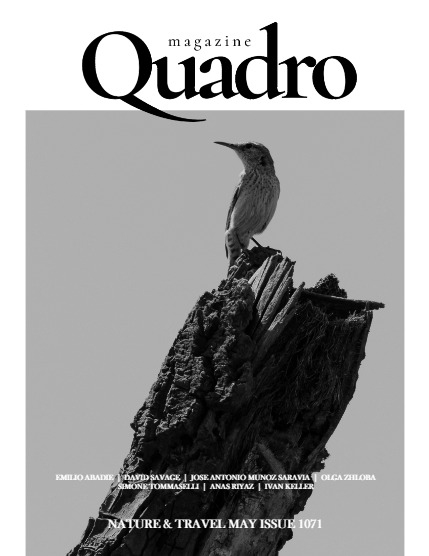 QUADRO MAGAZINE - NATURE & TRAVEL MAY (Vol 1071), page 1