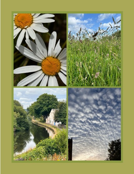 Bold and Beyond Nature (Issue 469 August 2025), page 3