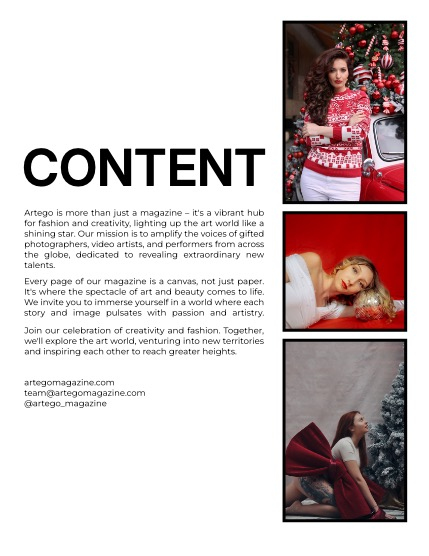 ARTEGO MAGAZINE - CHRISTMAS JANUARY ISSUE 1184, page 2