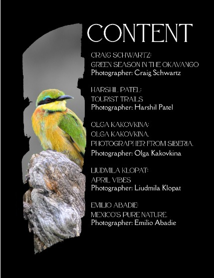 Bold & Beyond Nature (Issue 267 May 2025), page 2