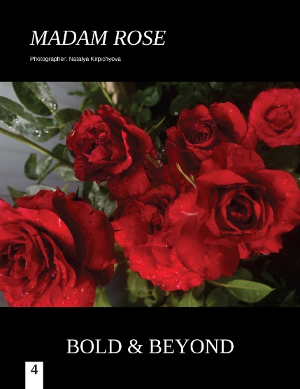 Bold & Beyond Nature (Issue 692 January 2026), page 4