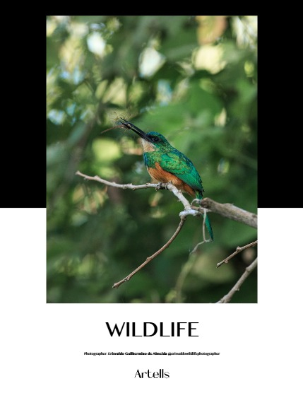 ARTELLS MAGAZINE - NATURE & TRAVELS MARCH (Vol 3915), page 4