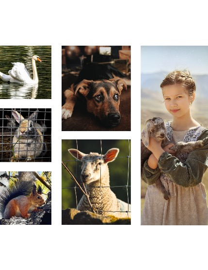 FIGGI MAGAZINE - LOVELY PETS MAY (Vol 2124), page 2