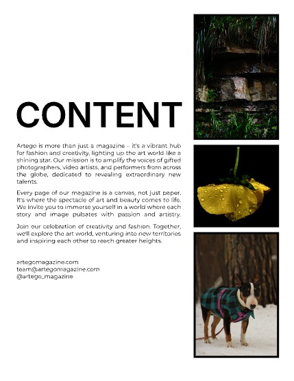 ARTEGO MAGAZINE - NATURE & TRAVELS MAY ISSUE 1347, page 2