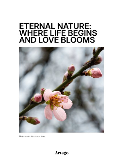 ARTEGO MAGAZINE - NATURE & TRAVELS MARCH ISSUE 741, page 4