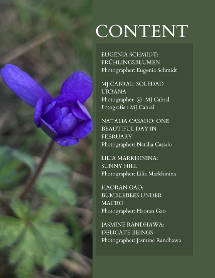 Bold & Beyond Nature (Issue 788 February 2026), page 2