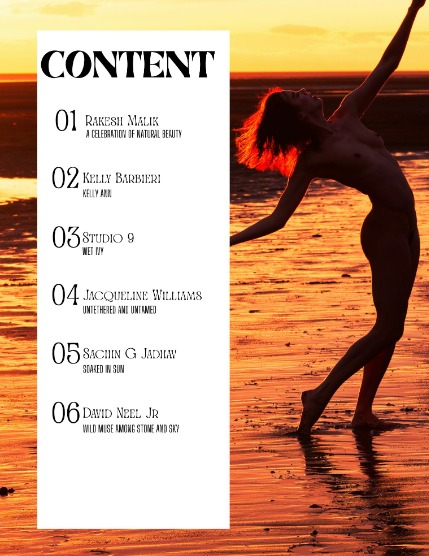 UNTAMED ARTISTIC NUDE (Vol. 263 May 2026), page 2