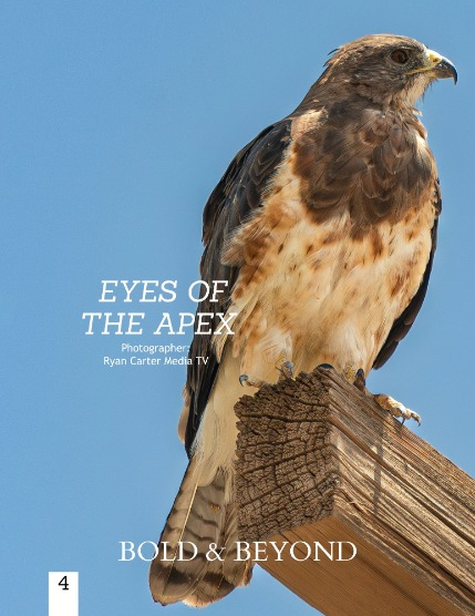 Bold & Beyond Nature (Issue 733 February 2026), page 4