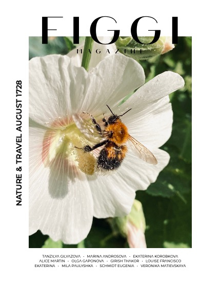 FIGGI MAGAZINE - NATURE & TRAVEL AUGUST (Vol 1728), page 1