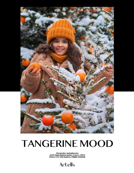 ARTELLS MAGAZINE - CHRISTMAS FEBRUARY (Vol 3836), page 4